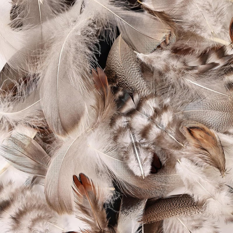 MAOFENG 210pcs 7 Styles Natural Bulk Feathers Assorted Mixed Feathers for DIY Crafts Dream Catcher Wedding Hair Hats Decoration,Guinea Fowl Feathers - Image 4
